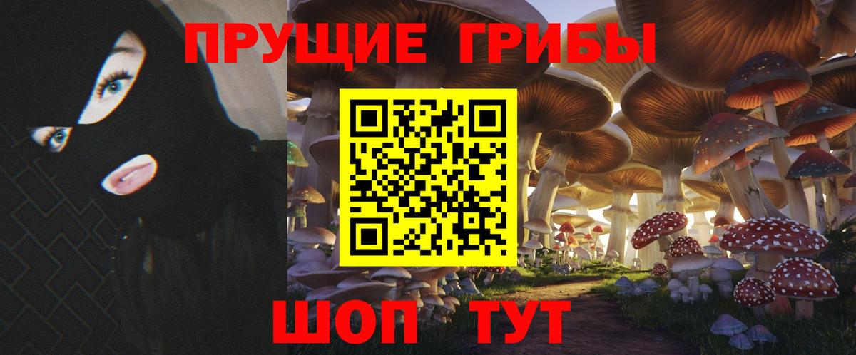 Галлюциногенные грибы Psilocybine cubensis Гусь-Хрустальный